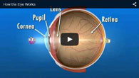 How the Eye Works - provided by ECVA Eye Care